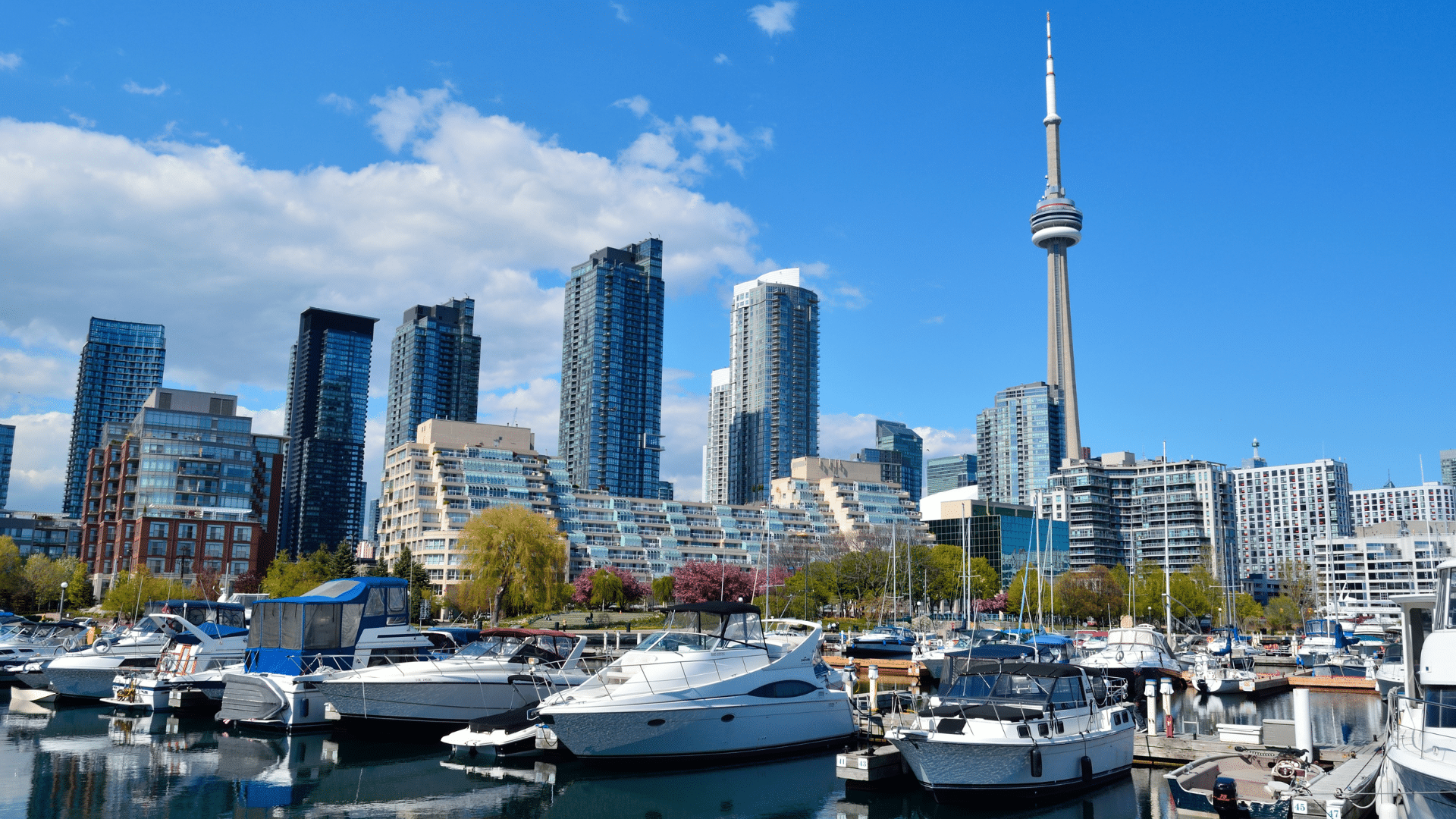 Furniture Movers in Downtown Toronto Waterfront 