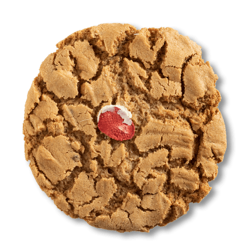 vondelkoek aardbei bakkerij almelo speculaas manderveen