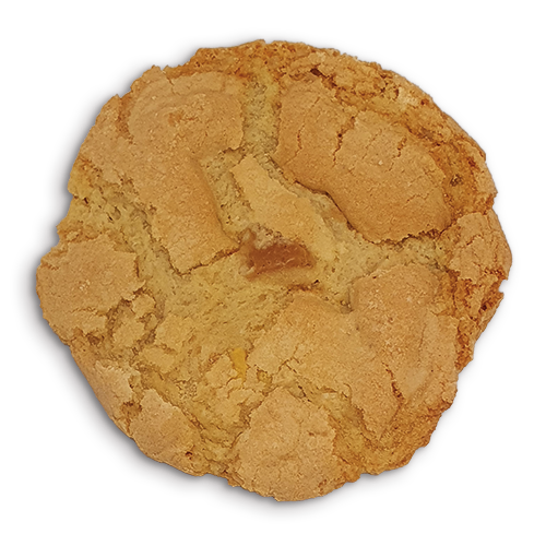 Een close-up van een koekje op een witte achtergrond