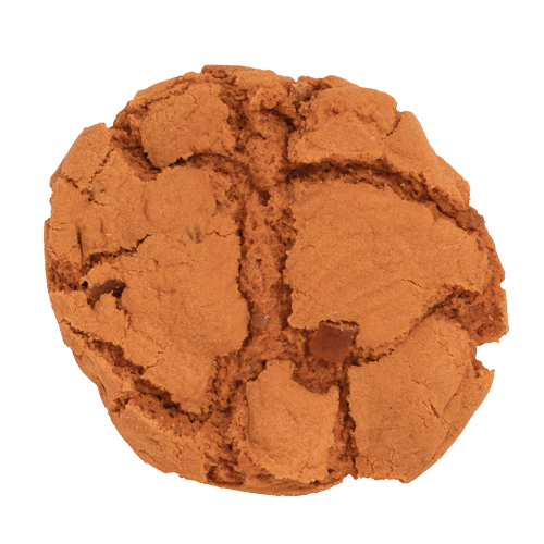 Een close-up van een bruin koekje op een witte achtergrond