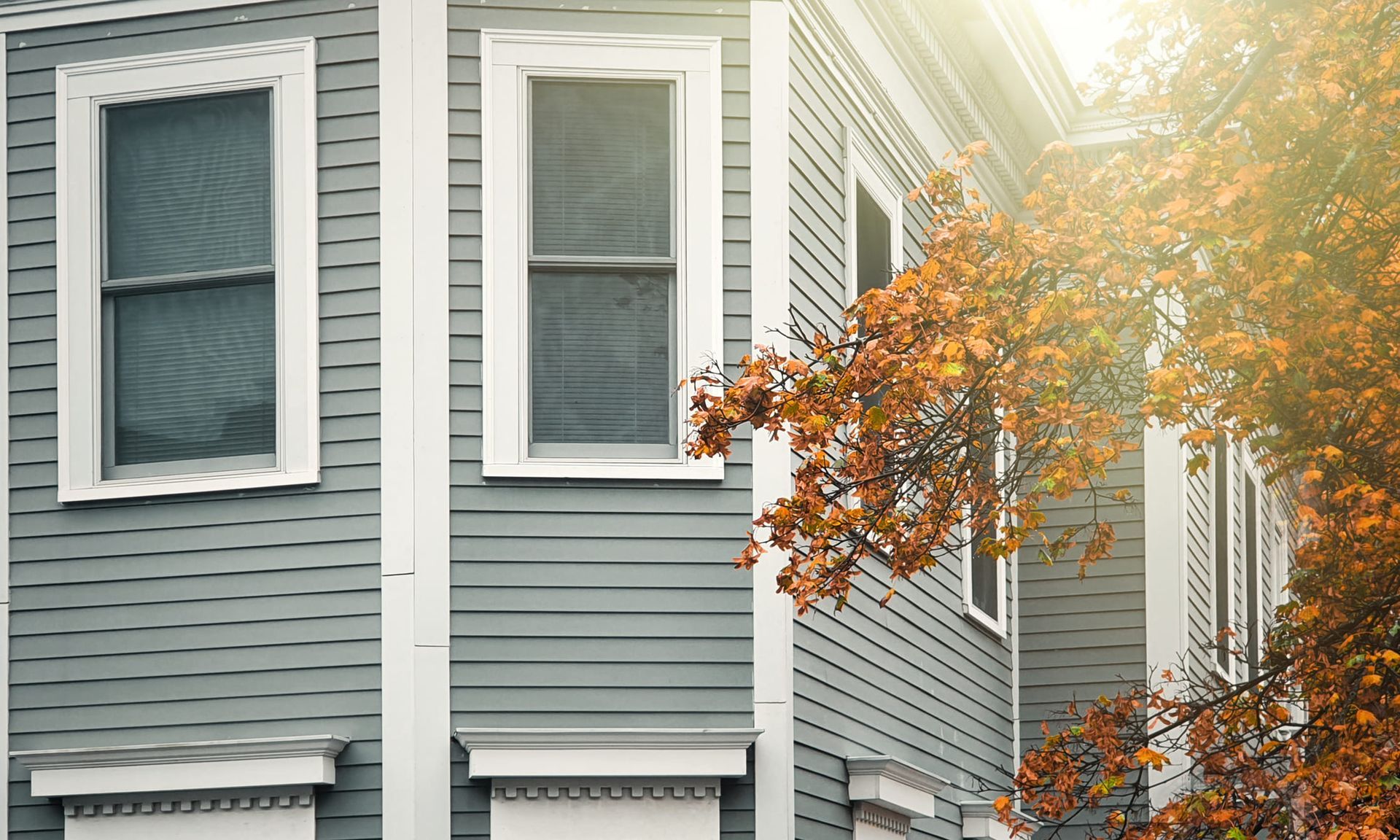A house with a tree in front of it and the sun shining through the windows.