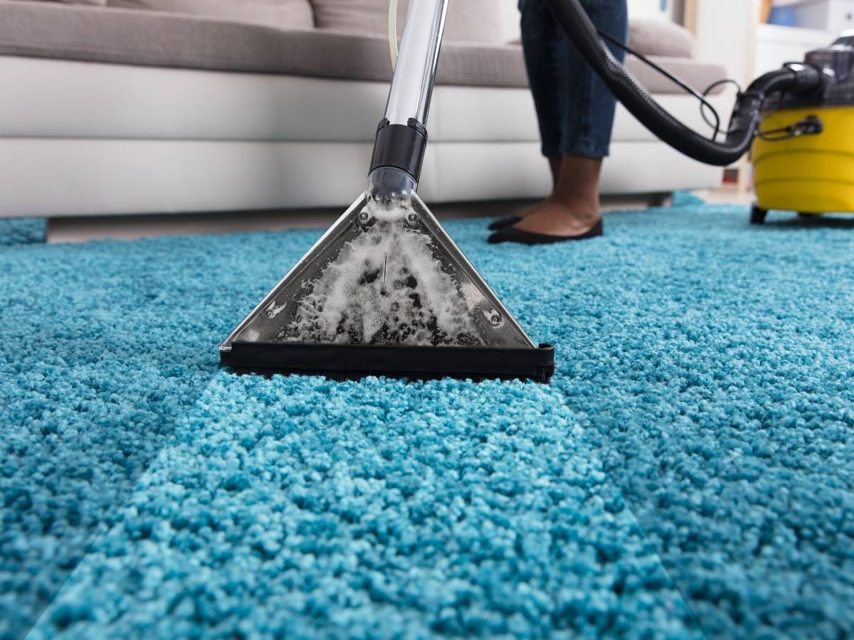 Squeaky Cleaners Nottingham cleaning a carpet in Gedling