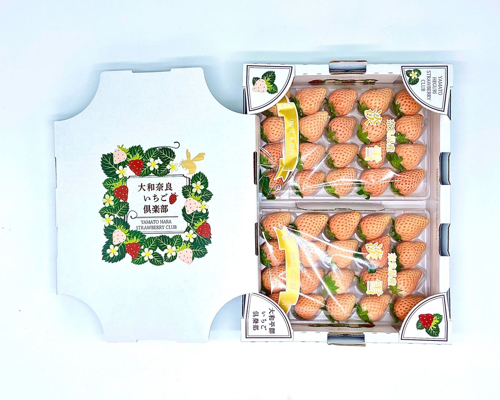 日本空運-奈良淡雪白草莓 (預購)