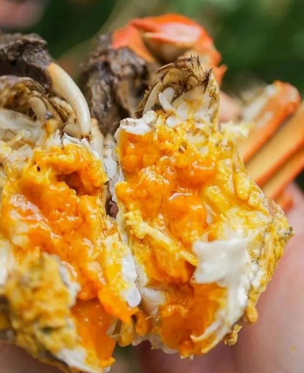 秋蟹－活體大閘蟹 (A規格）十隻