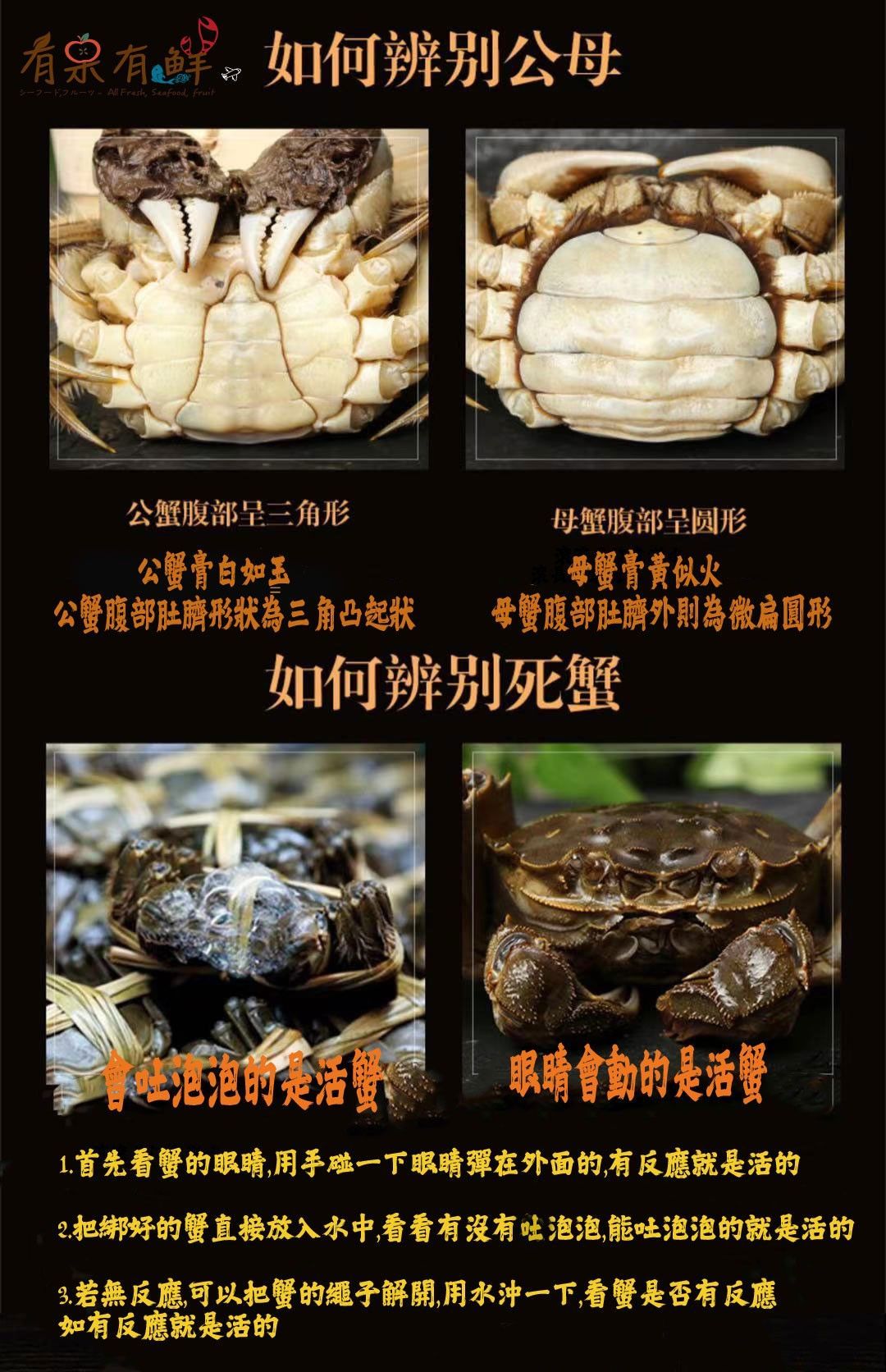 秋蟹-活體大閘蟹 (2A規格)10隻裝