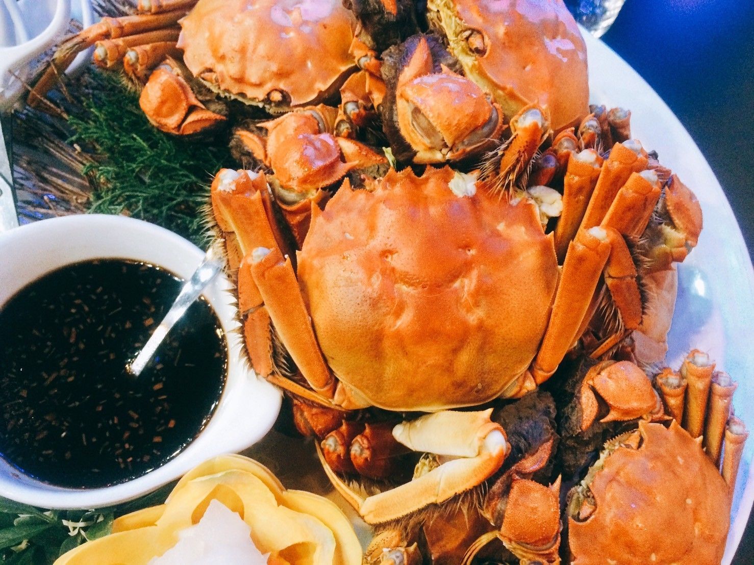 秋蟹－活體大閘蟹 (3A規格）十隻