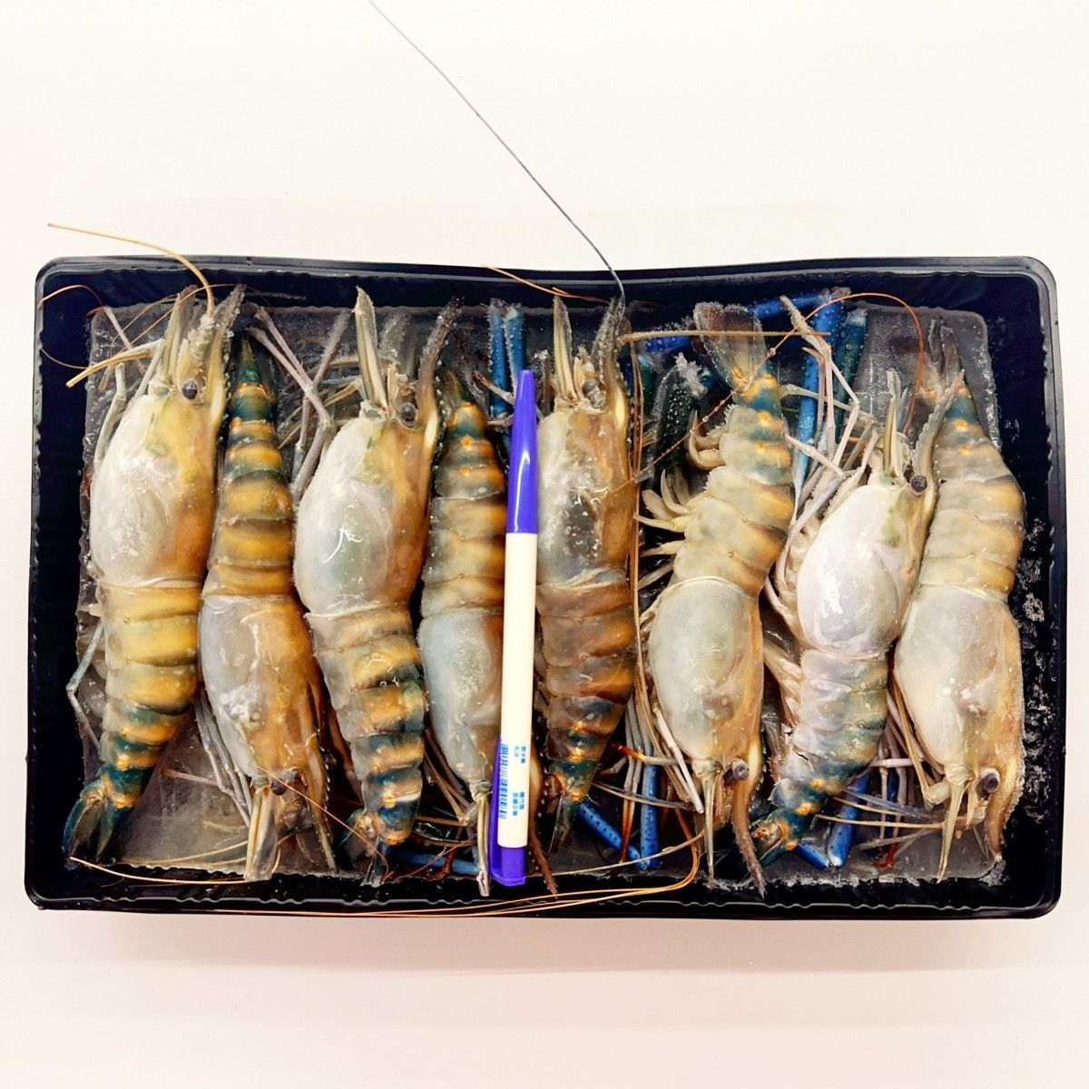 泰國急凍泰國公蝦8P