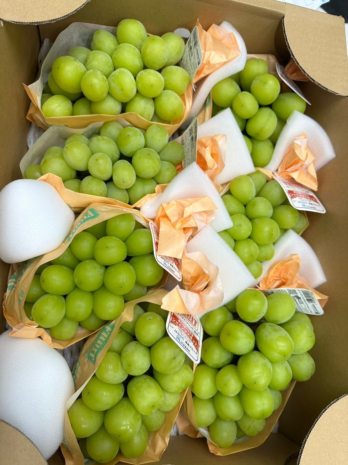 日本長野麝香葡萄