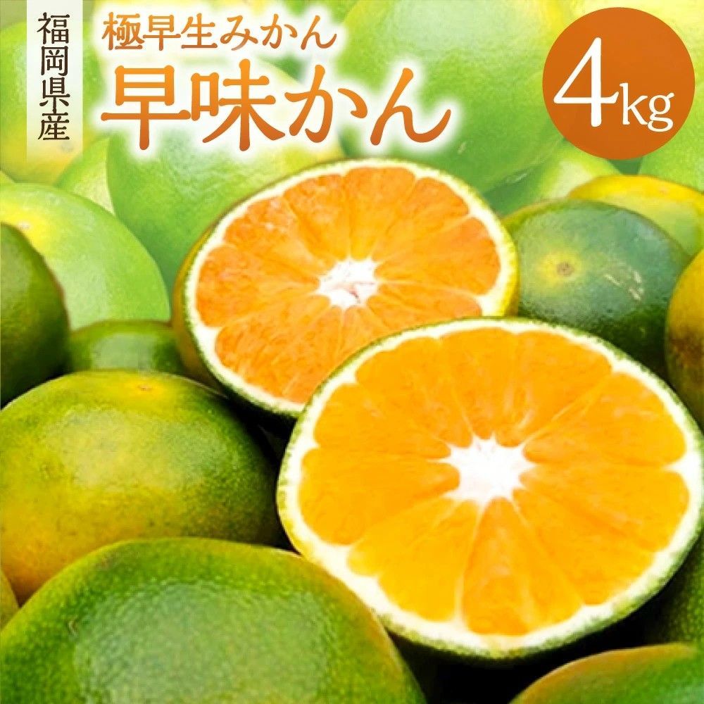 日本福岡蜜柑(5玉)