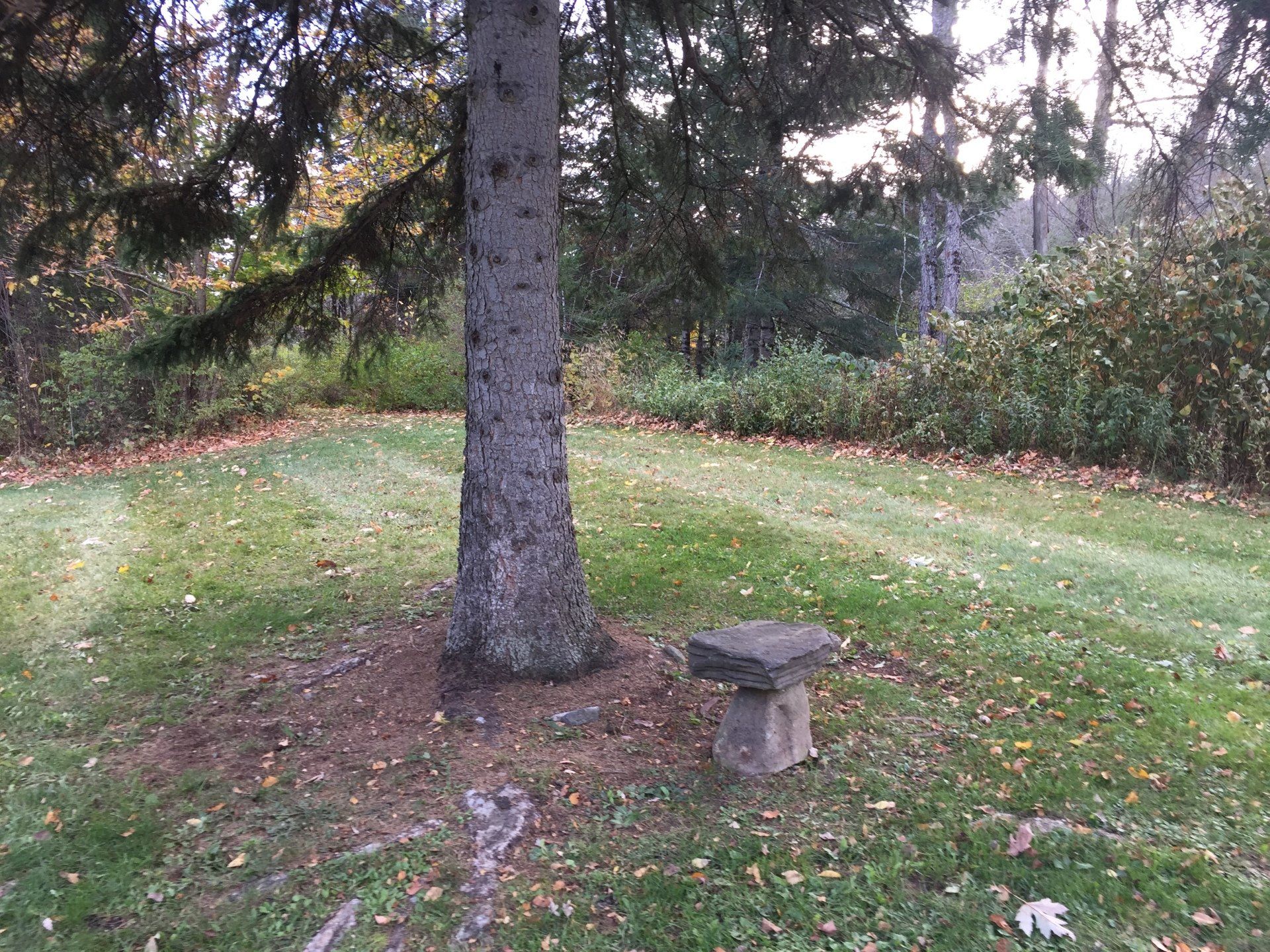 Outside the  Riverside Cottage in East Burke, VT
