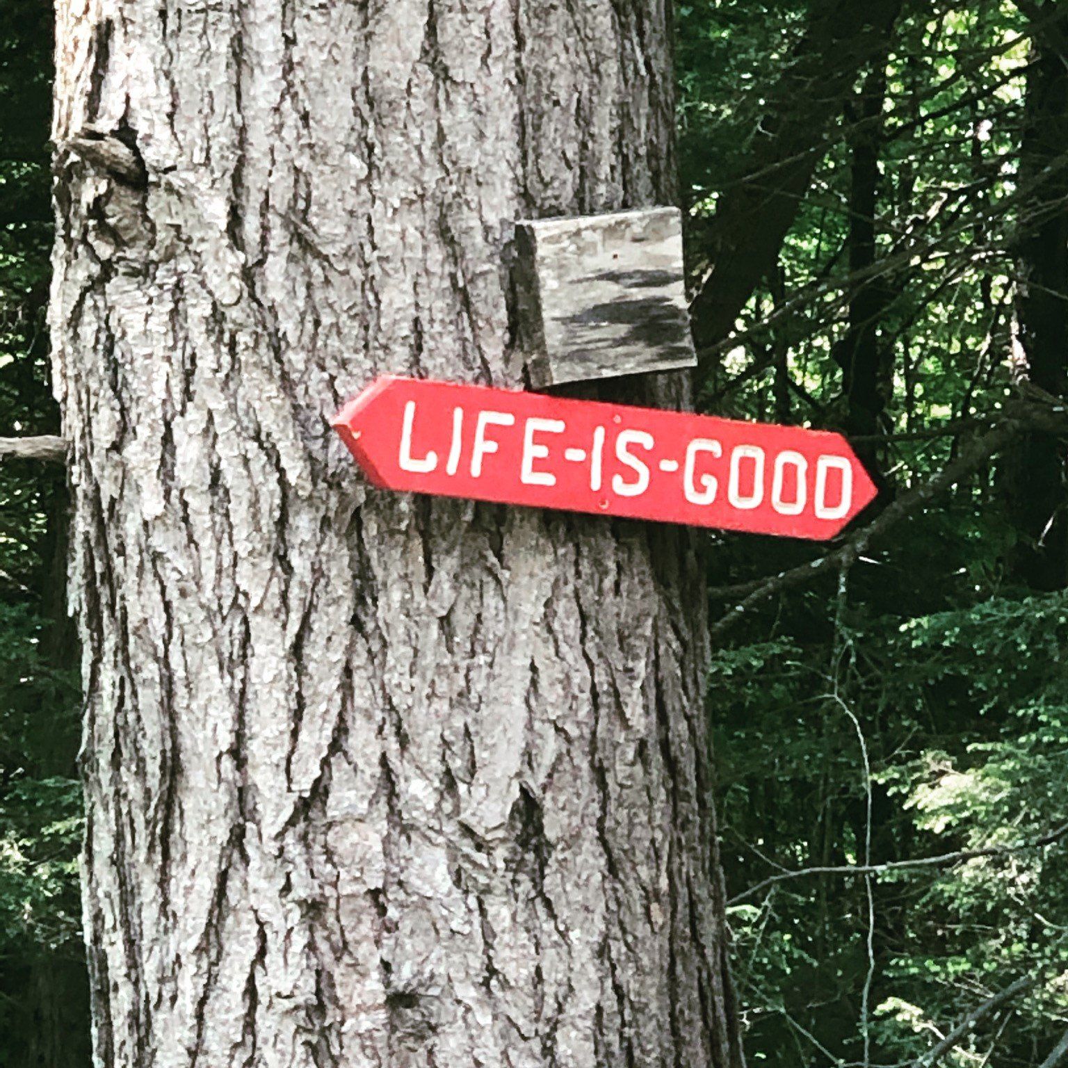 Guest House living room in East Burke, VT