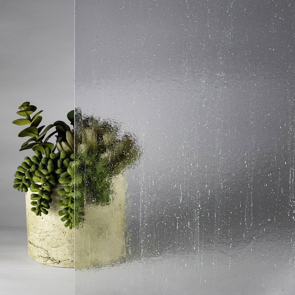 A potted plant is sitting in front of a clear glass door.