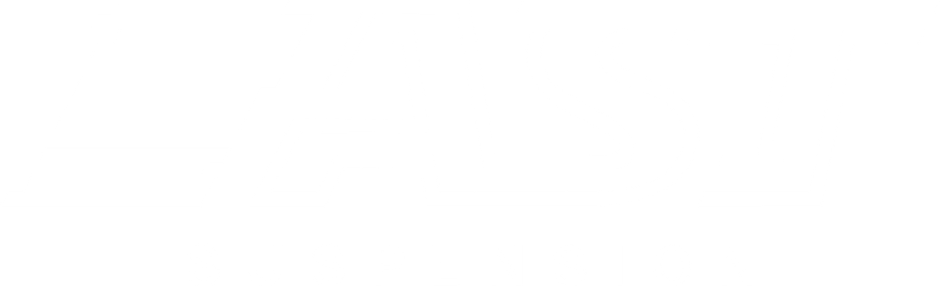 AST Suspension