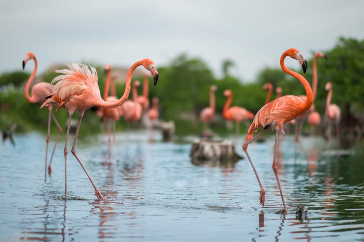 Sunshine Travel Corporation