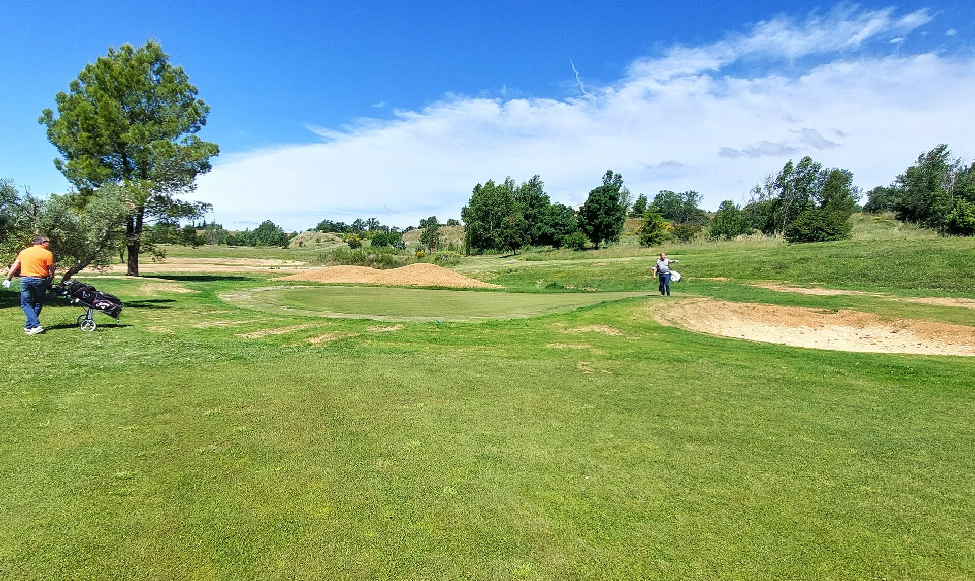 The green being remodelled