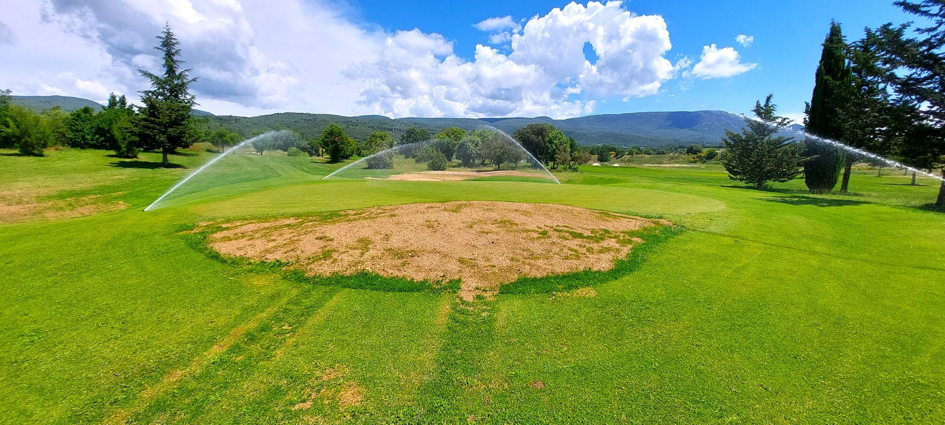 Sprinklers on golf green after renovation