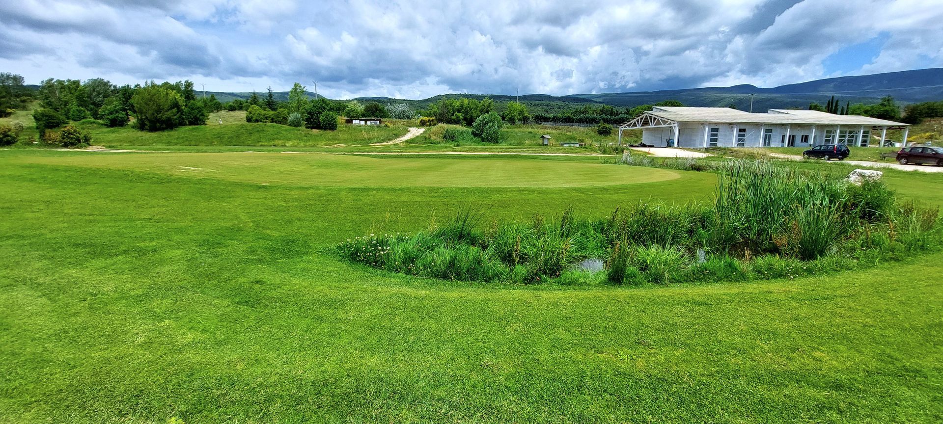 Green with small pond