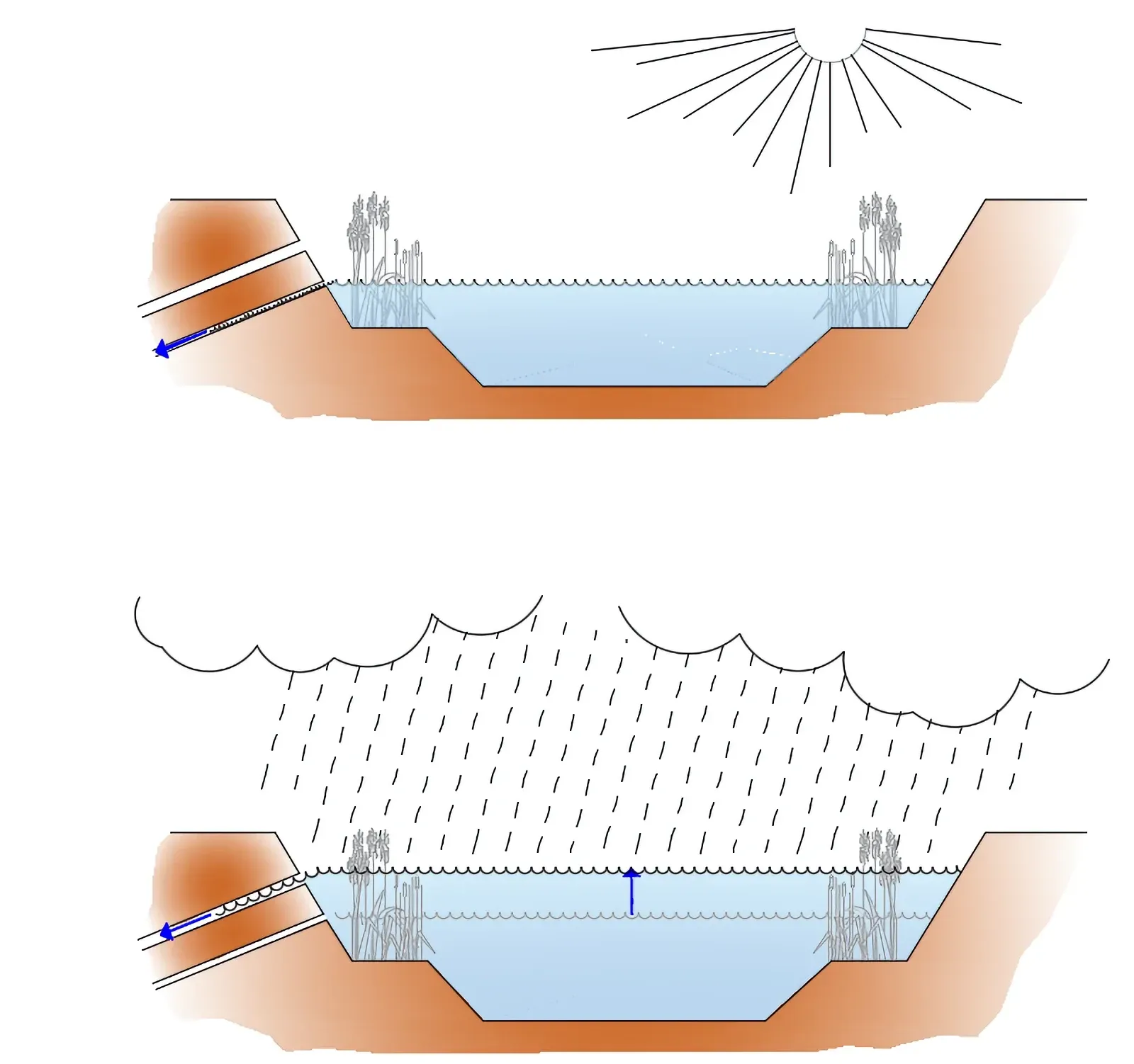 Concept sketch section of pond