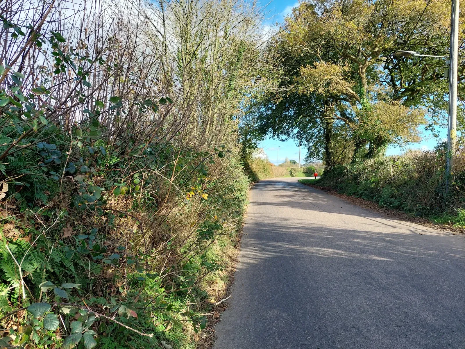 Model view of proposed housing estate at Shebbear