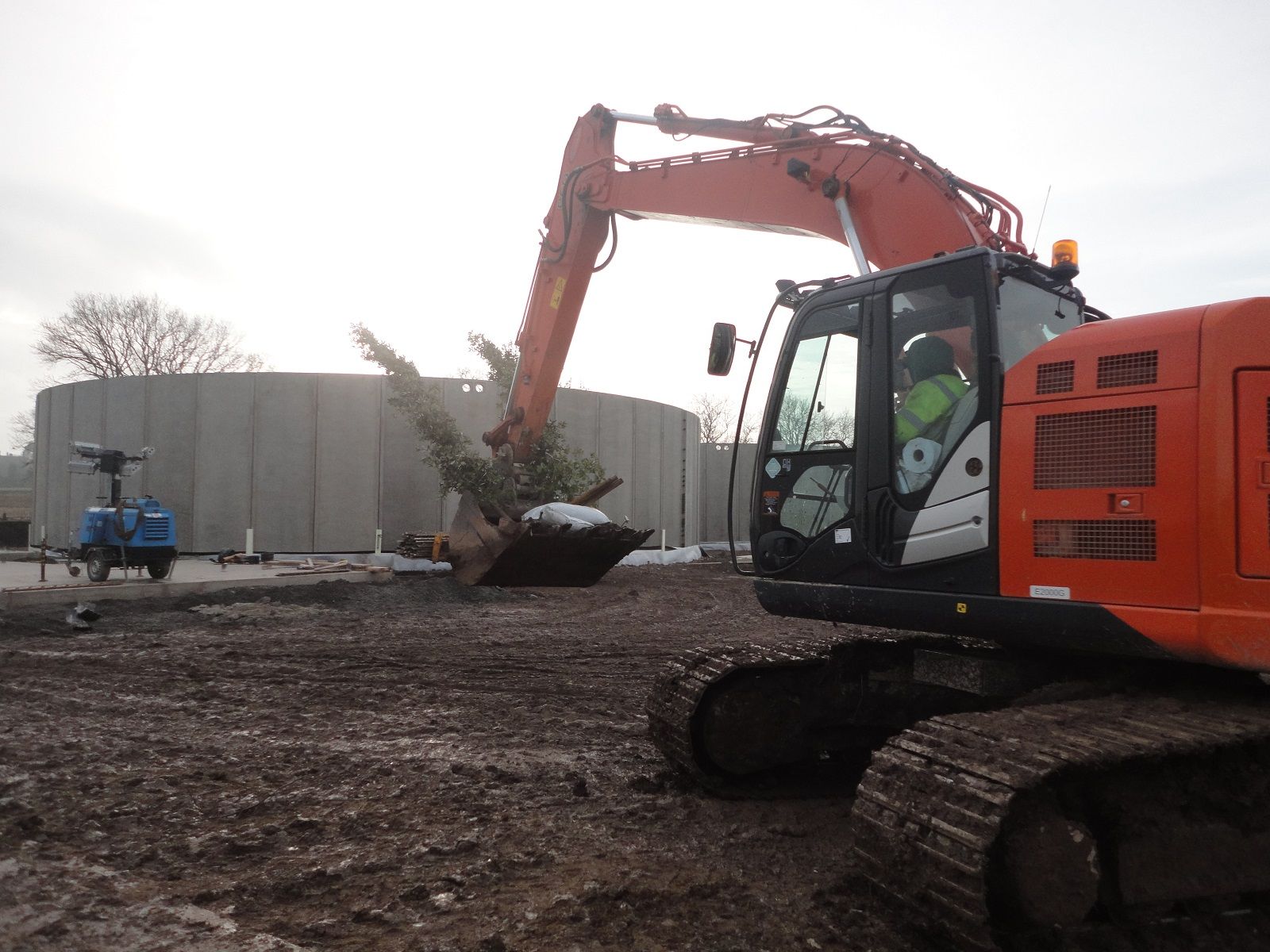 Planting trees being carried by excavator