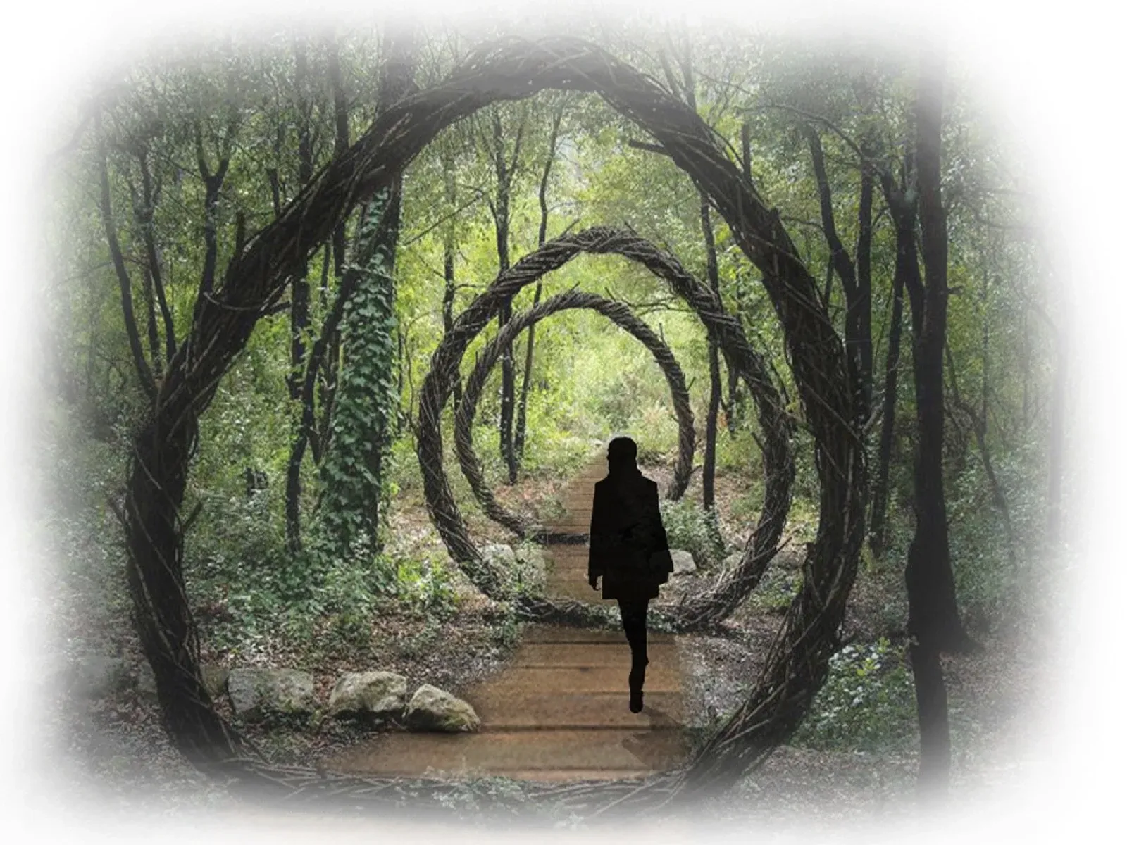 sculpture walkway in woods