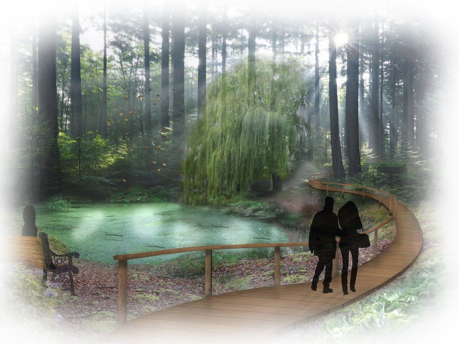 concept design for the pond in the woods