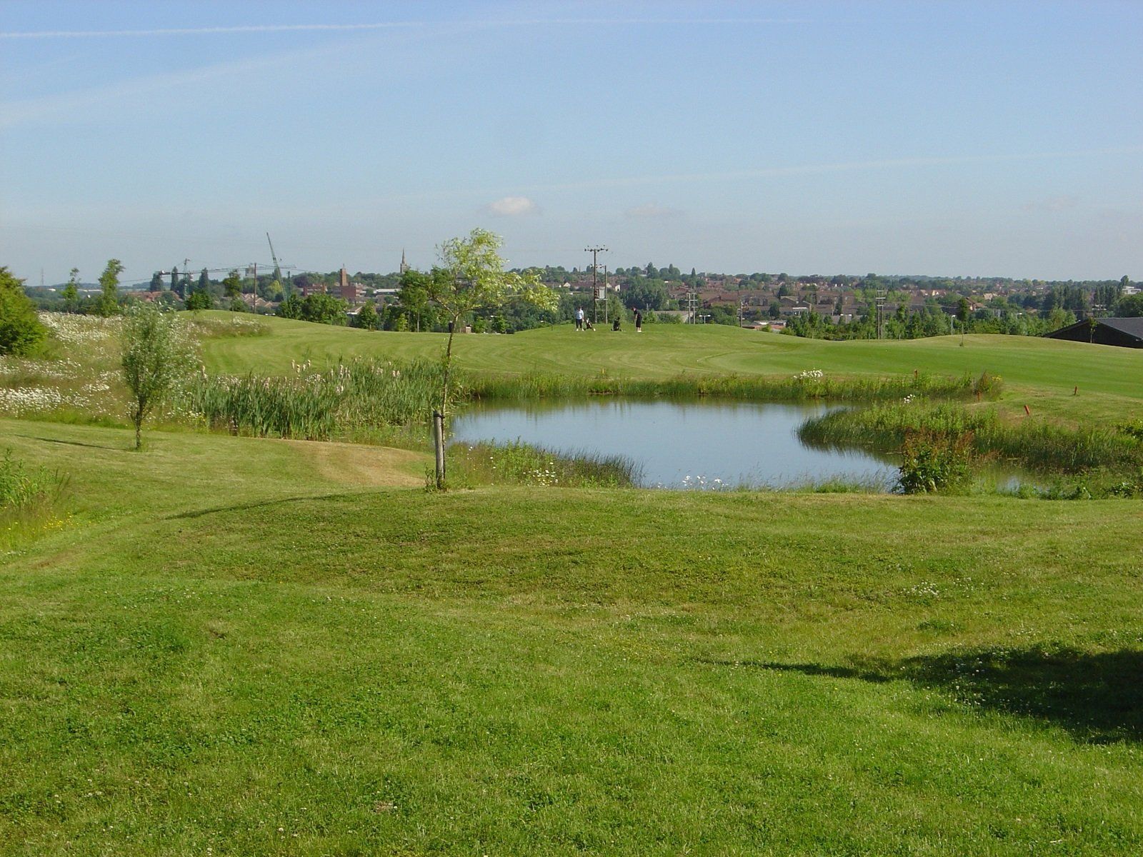 The new pond