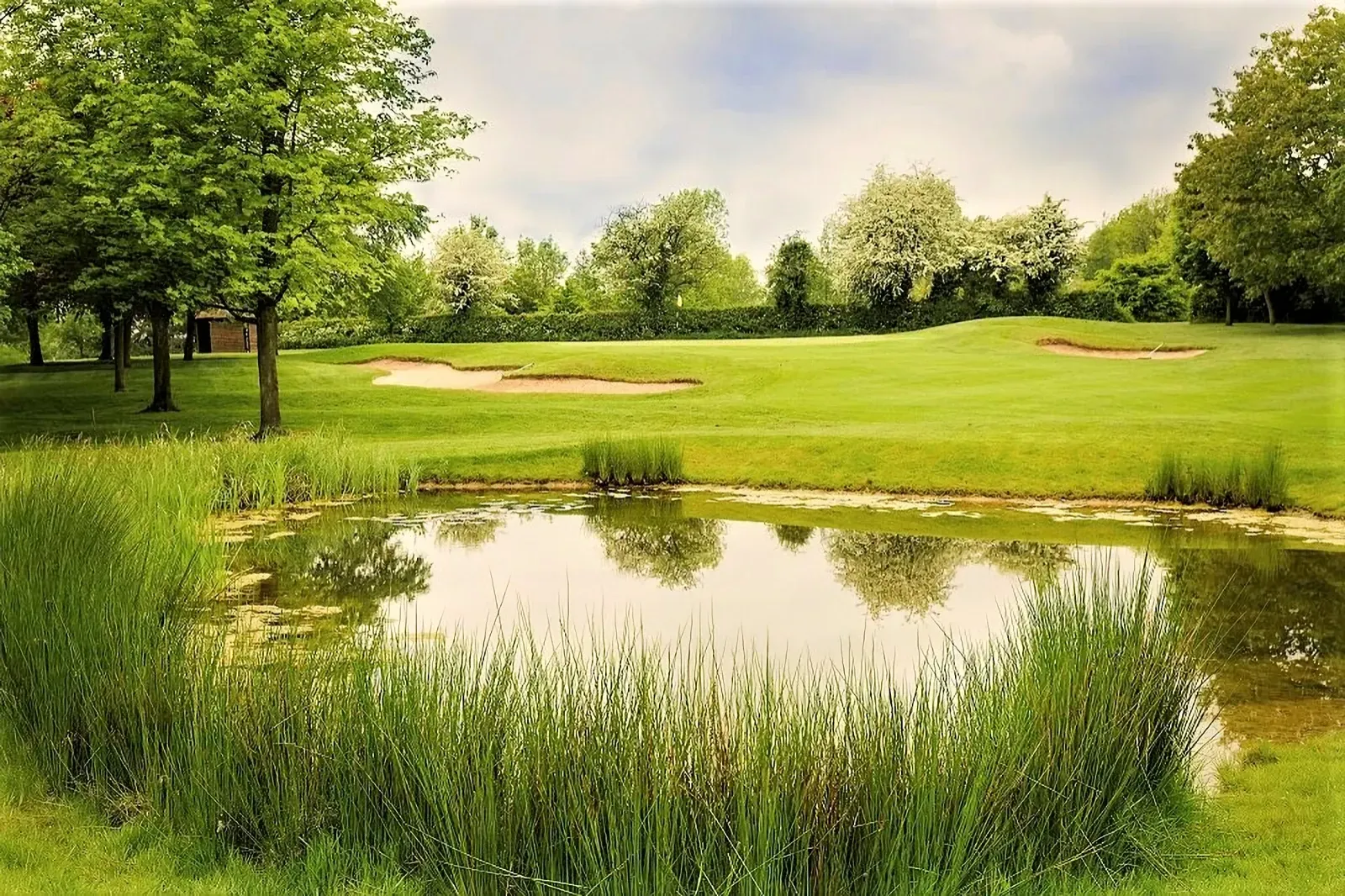 Pond design at the leicestershire golf course