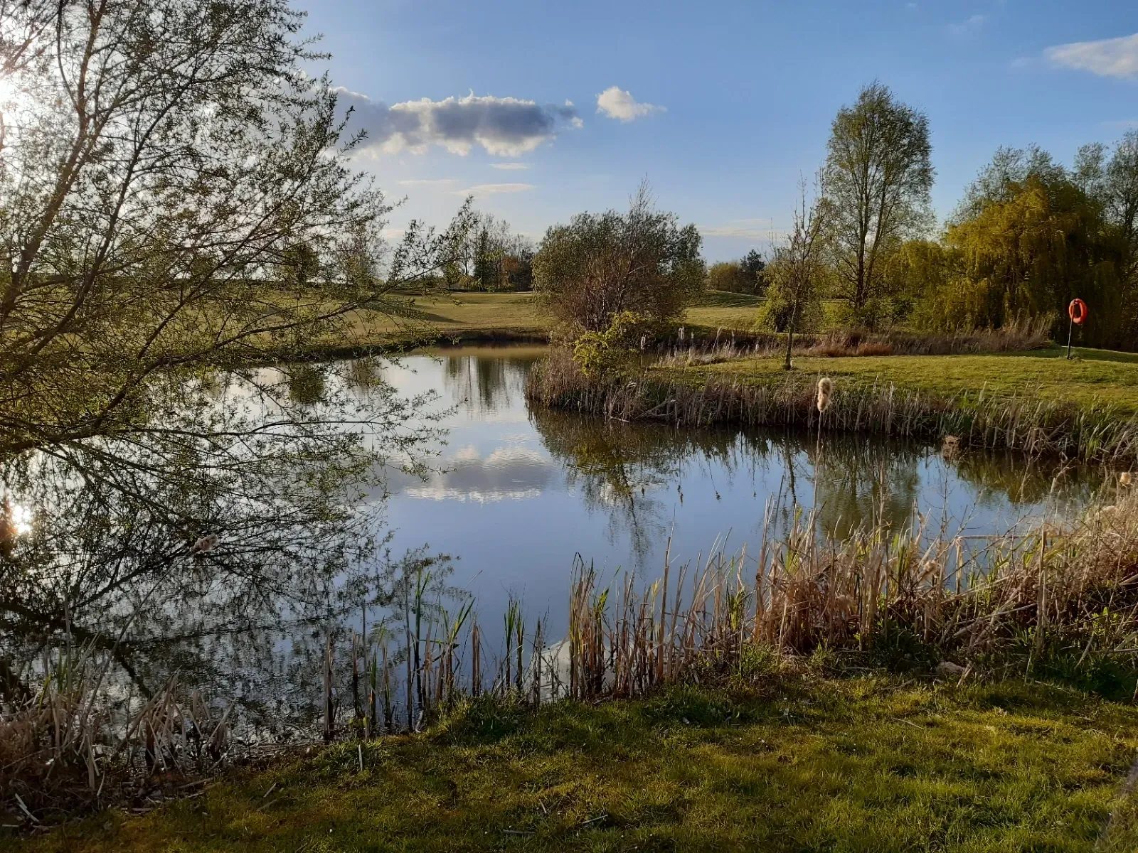 Pond at Pytchley Lodge golf course