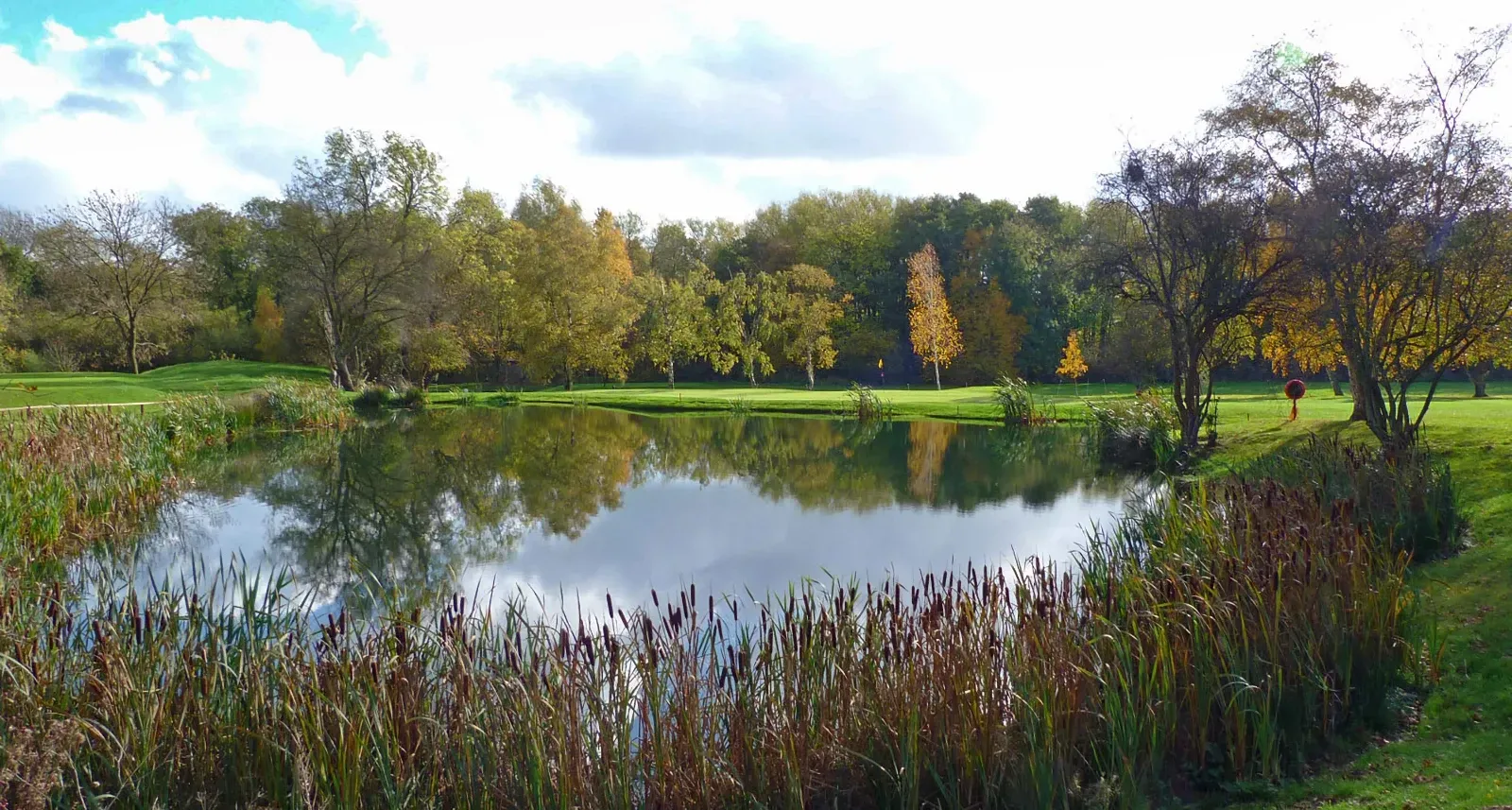 Pond at Shirley Golf Course