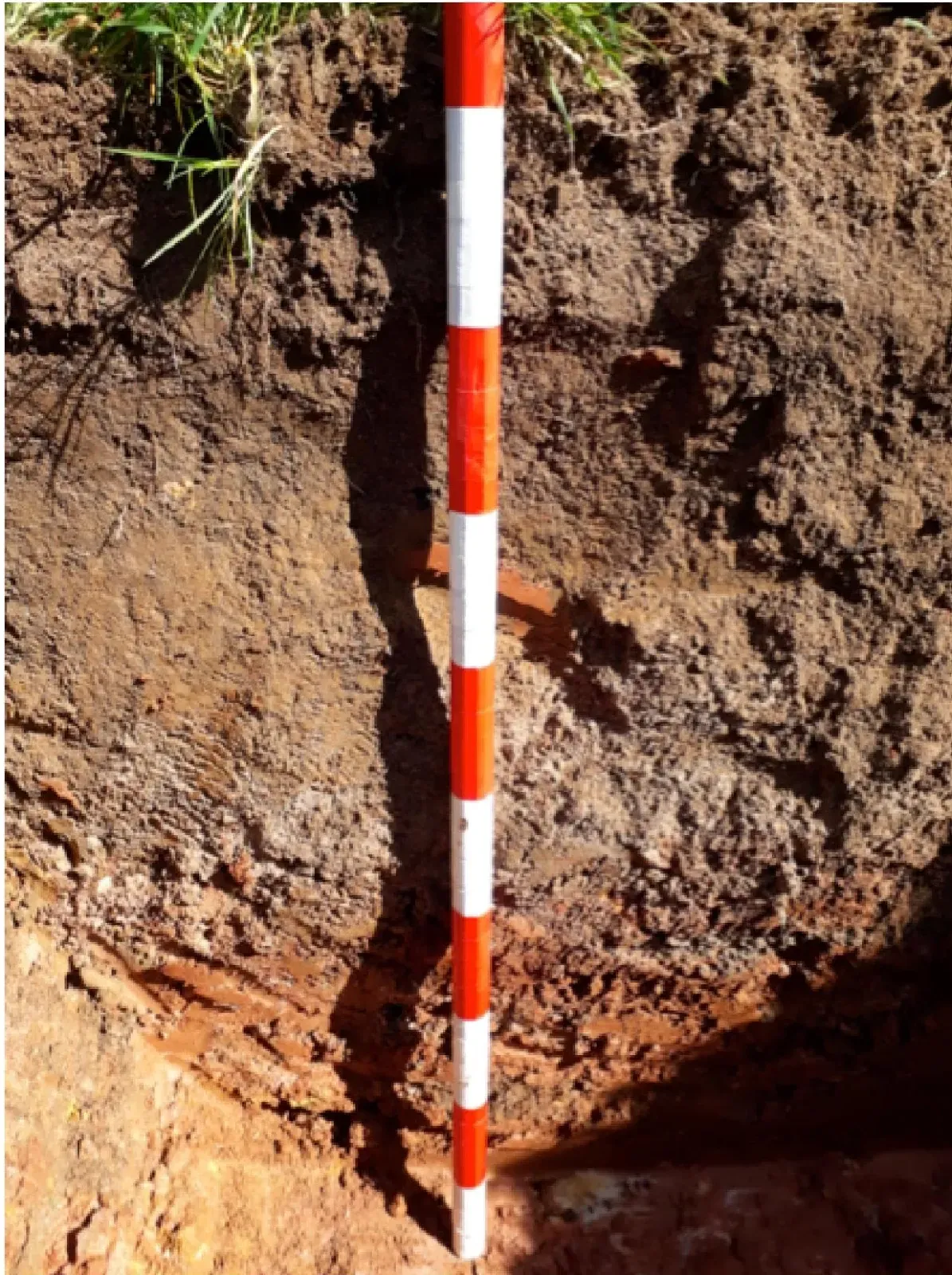 Soil profile with measure stick