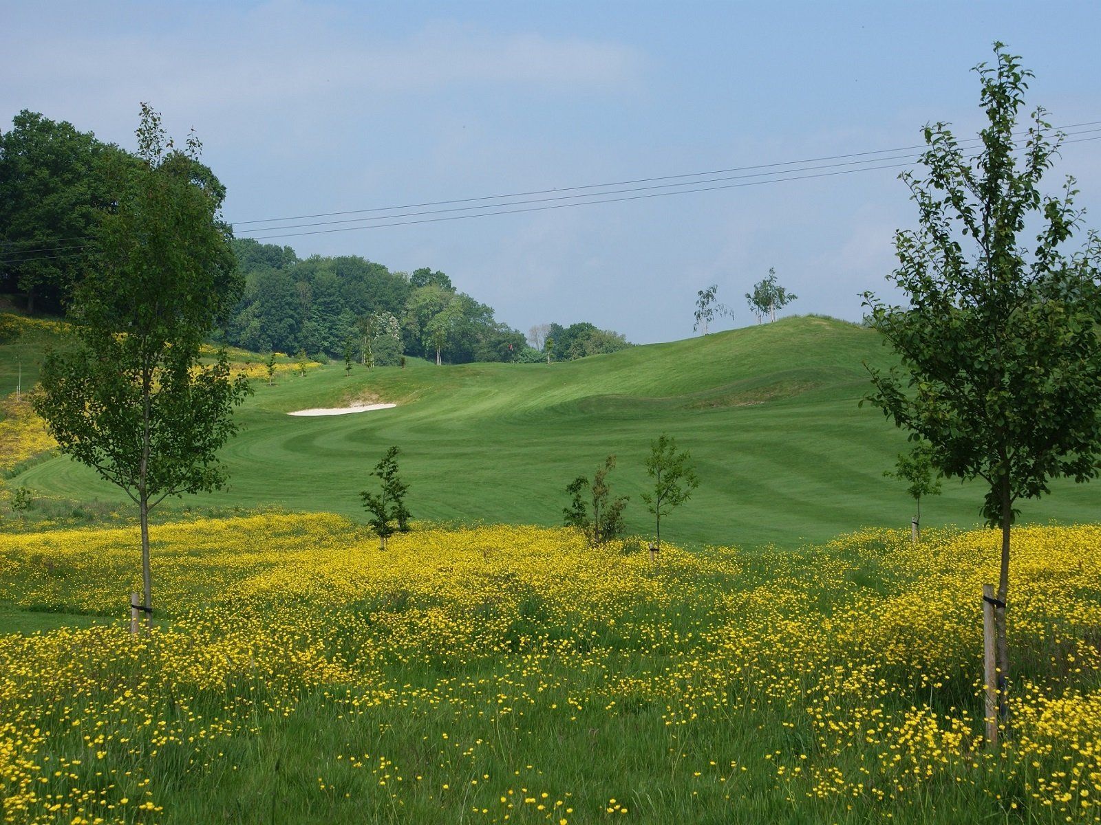 Fairway view with wildflowers