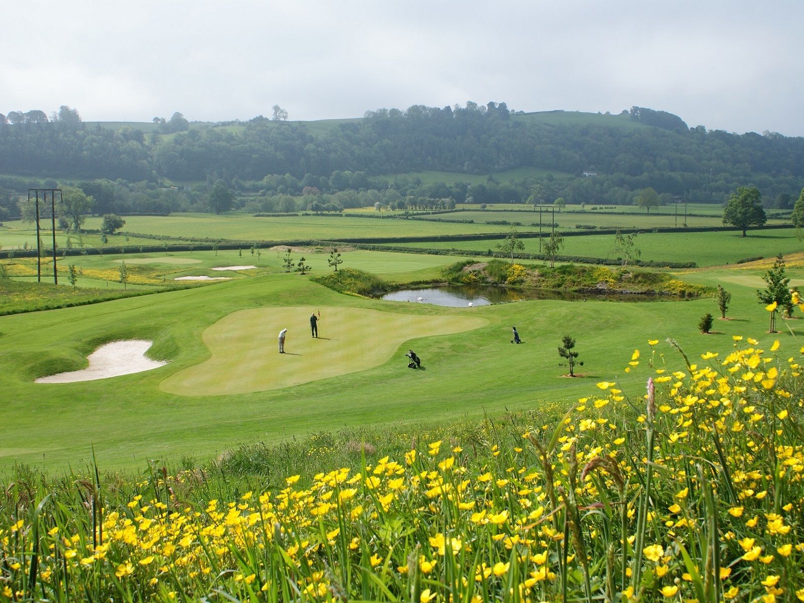 Green Tyger Design golf design