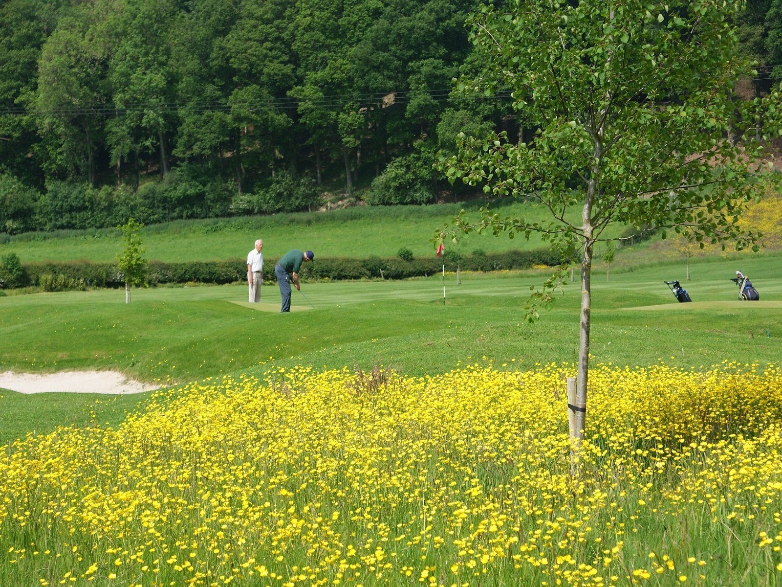 golf with wildflowers