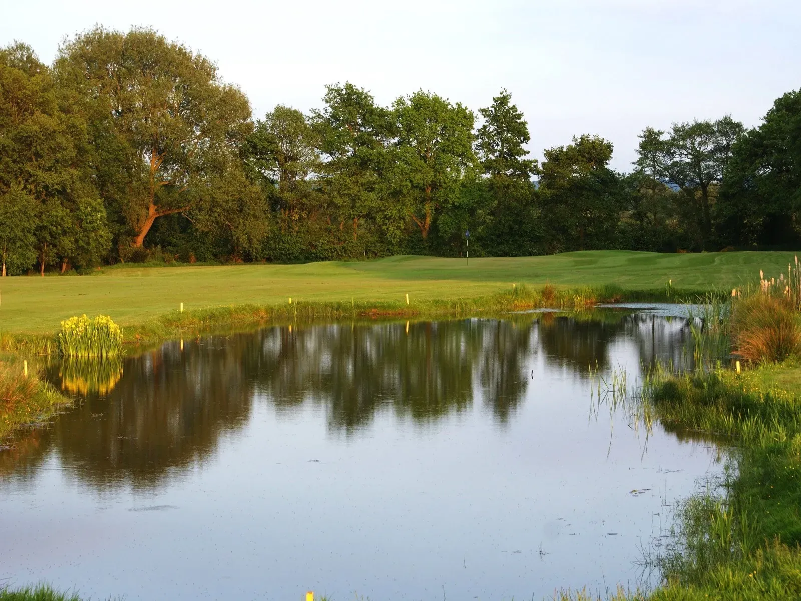 large pond and water storage reservoir