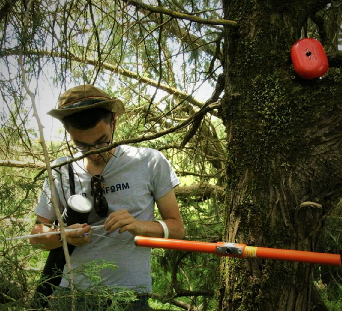 Arboricultural surveying