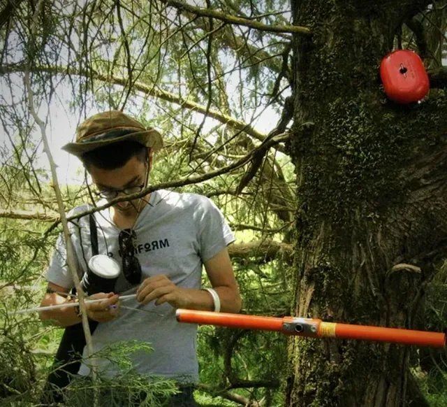 Arboricultural surveying