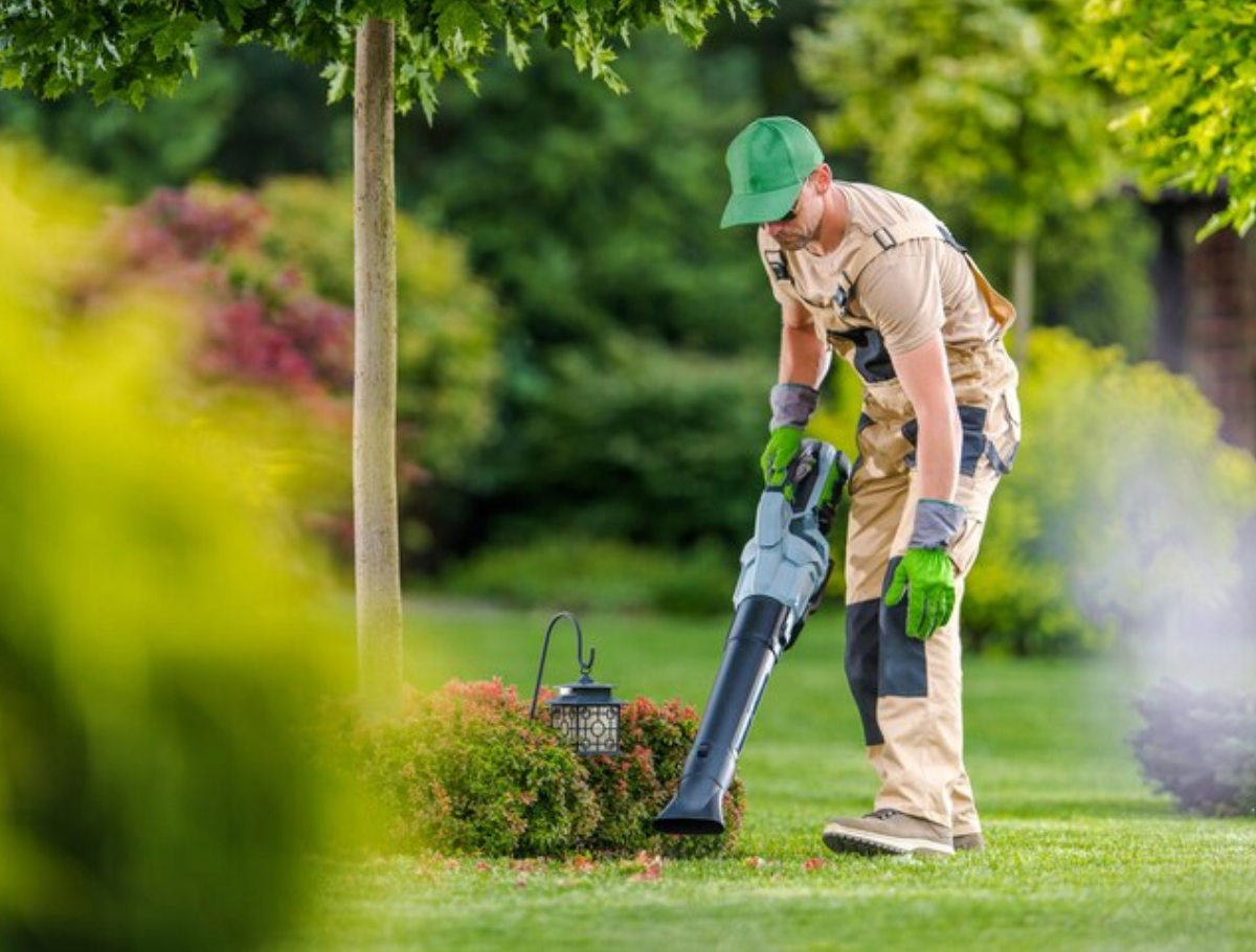 Gardener using a leaf blower on a lawn, wearing work clothes and gloves. Green cap, lush green setting.