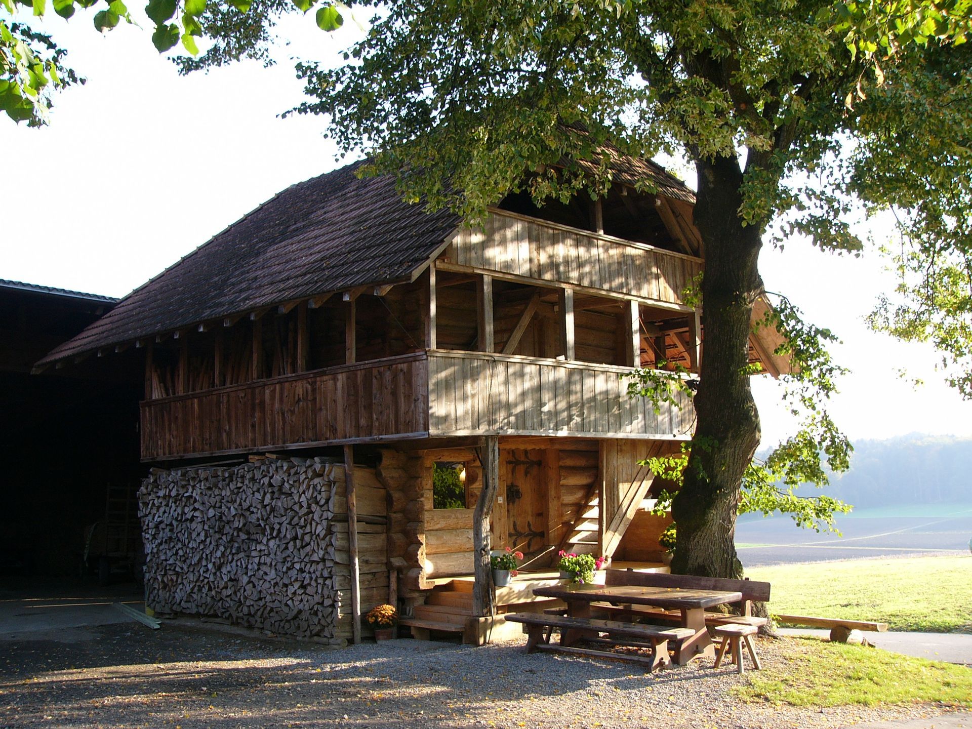 Ein Holzhaus mit einem Baum davor