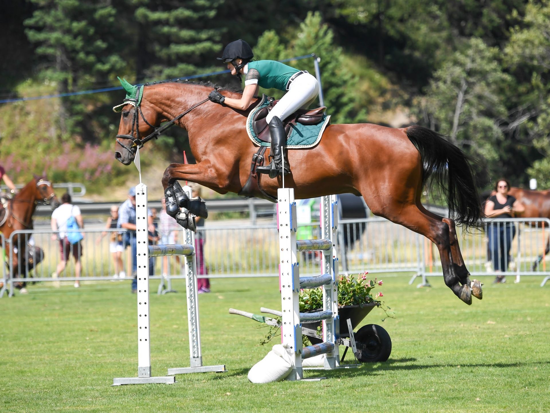 Eine Frau reitet auf einem braunen Pferd über ein Hindernis.