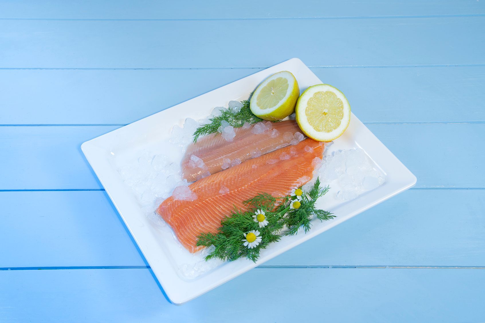 Ein weißer Teller mit Lachsforelle und Zitronenscheiben auf einem blauen Holztisch.