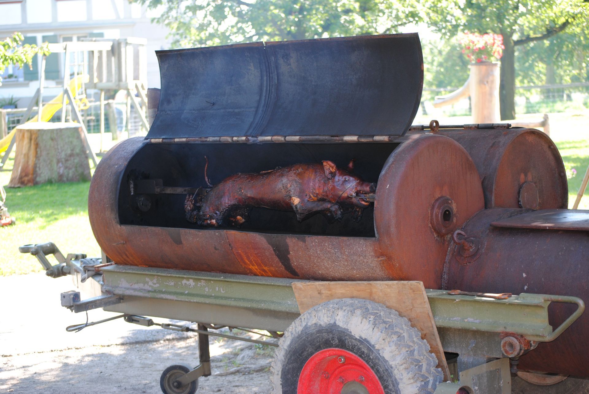 Auf einem Anhänger wird auf einem Grill ein Schwein gegart, ein Spanferkel