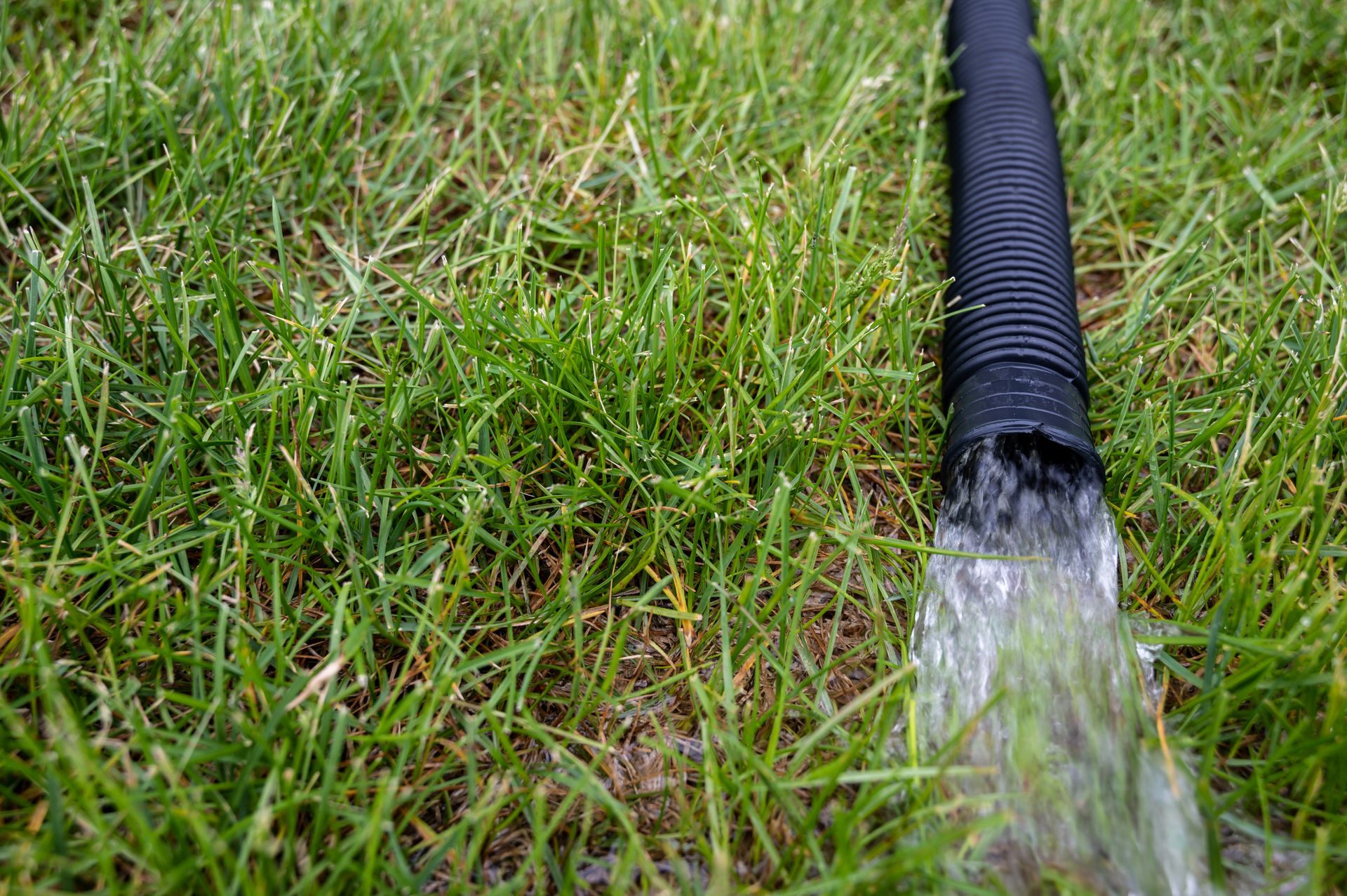 Black corrugated pipe spewing water onto green grass.
