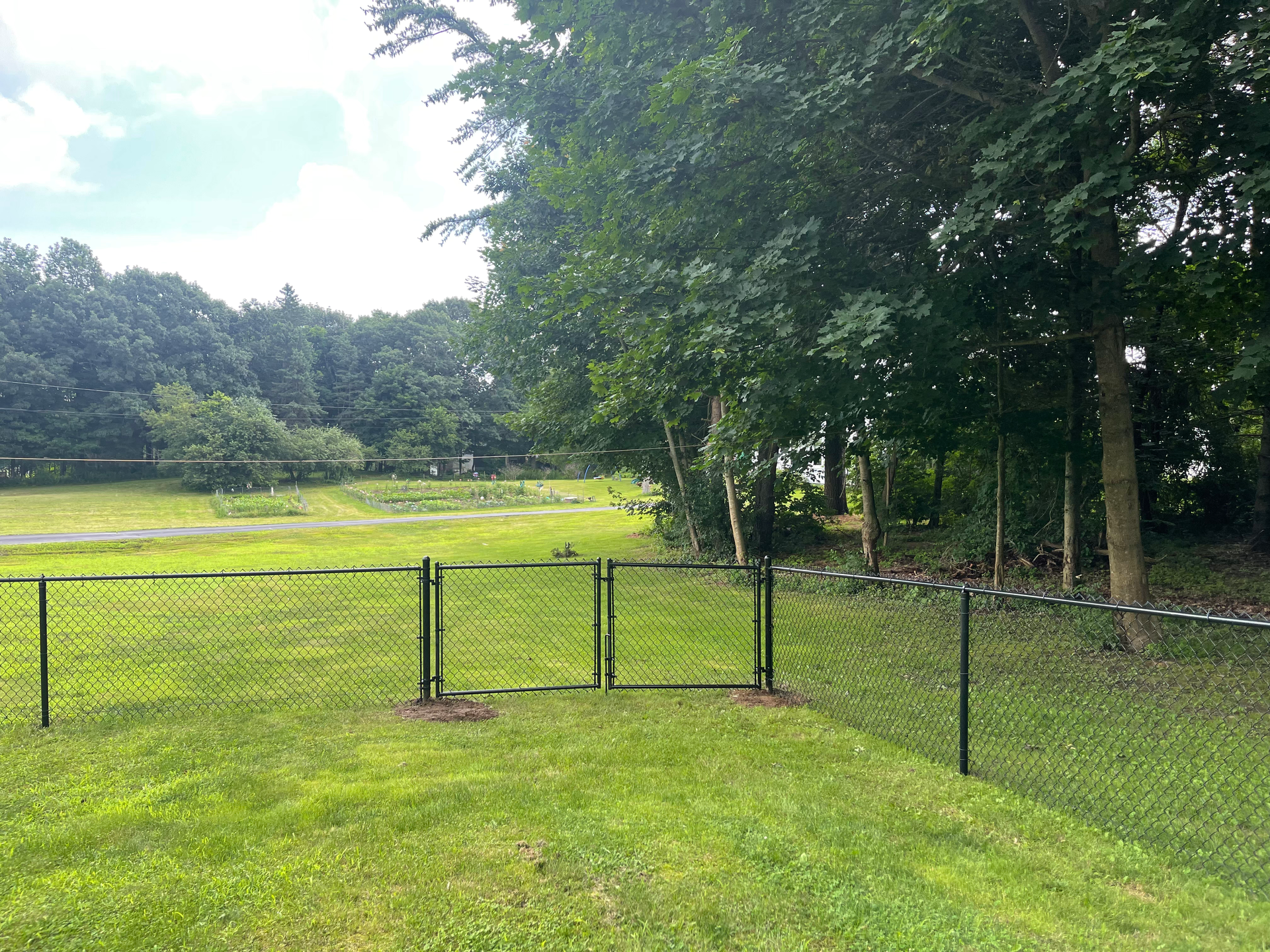A chain link fence surrounds a grassy field with trees in the background.
