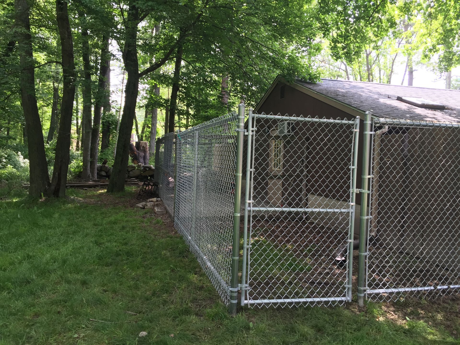 A chain link fence surrounds a shed in a backyard.
