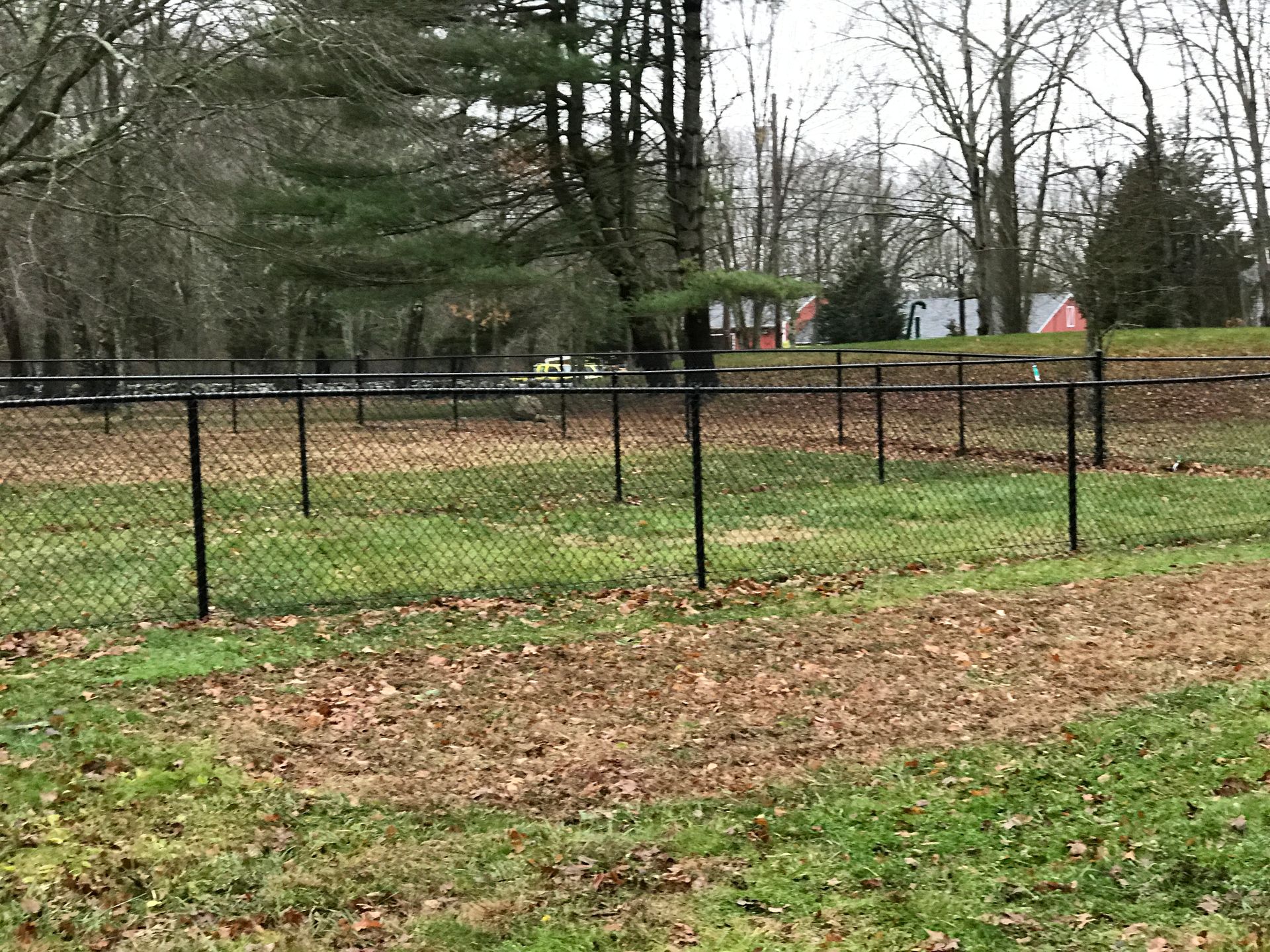 A chain link fence surrounds a grassy field with trees in the background.
