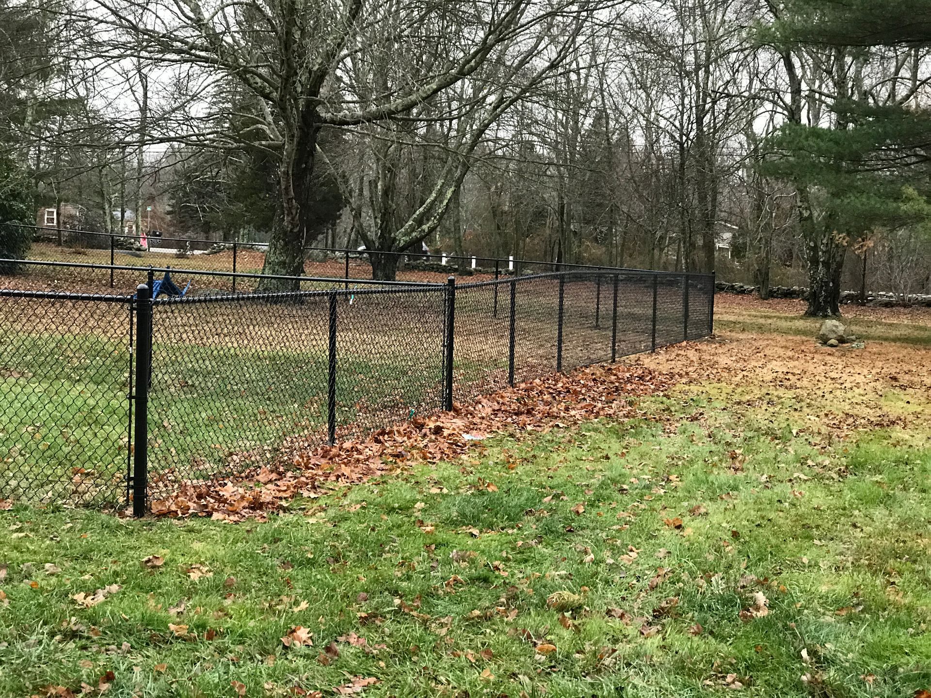 A chain link fence surrounds a grassy field with trees in the background.