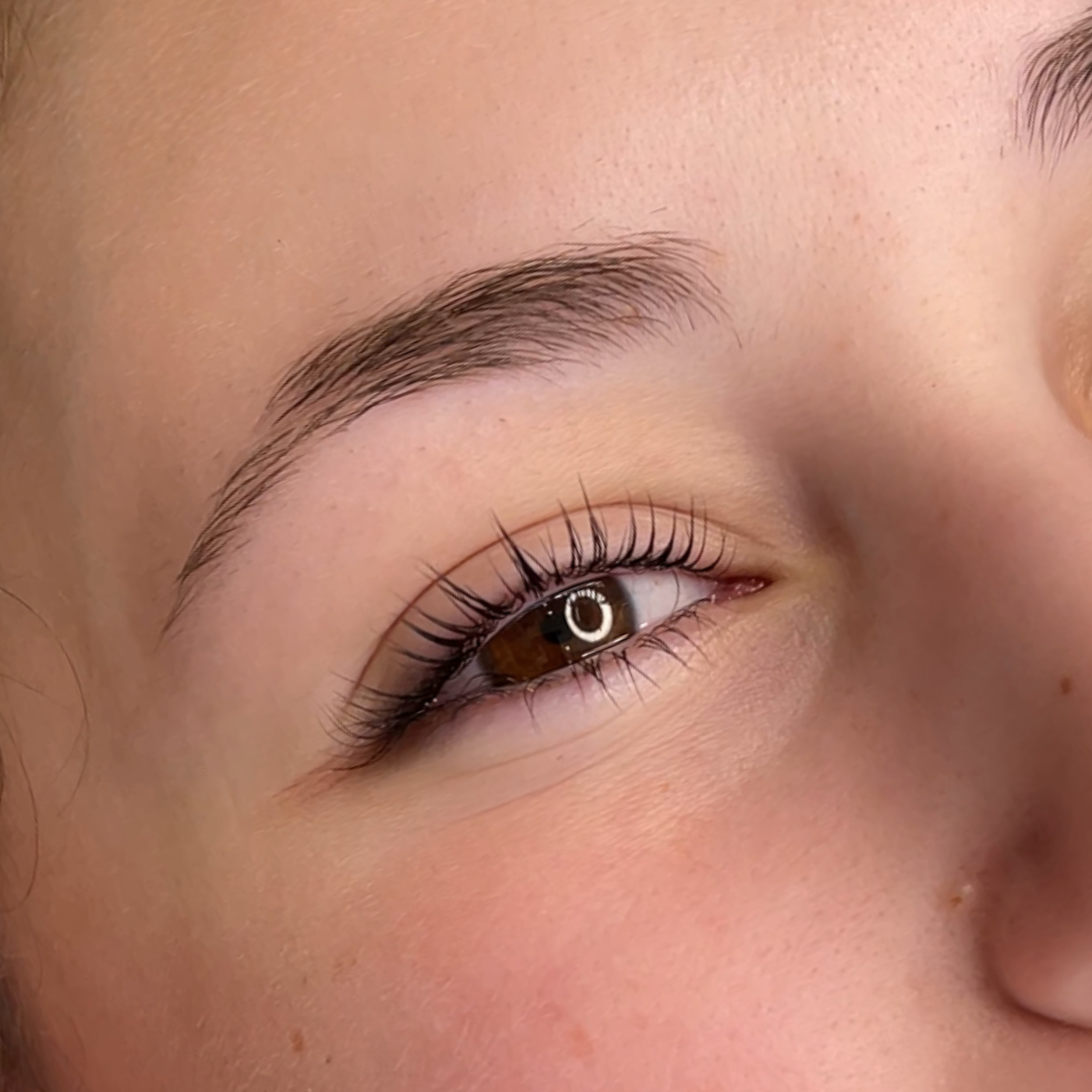 lash lift on an open eye 
 — Envy Cosmetic Collective in Maitland, NSW