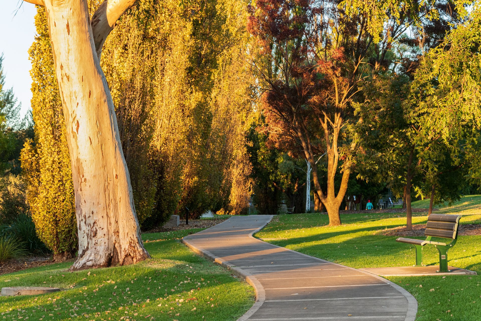 Winding path through a sunny park; large tree on the left, bench on right— Chill-Rite Refrigeration and Air Conditioning in Newcastle, NSW