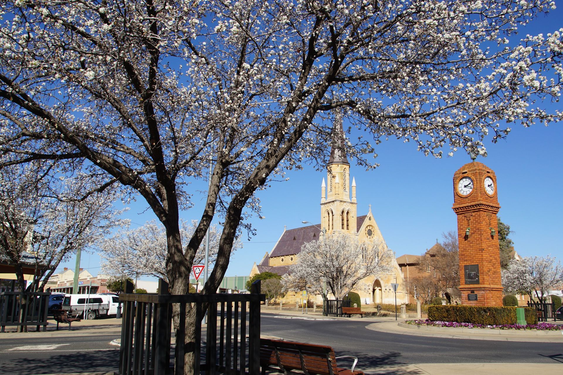 Blossoming trees frame a town square with a church and clock tower under a clear blue sky— Chill-Rite Refrigeration and Air Conditioning in Coffs Harbour, NSW